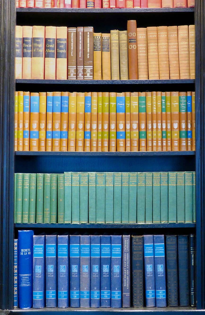 lifelong learning 