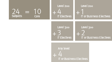 bachelor of information technology course structure