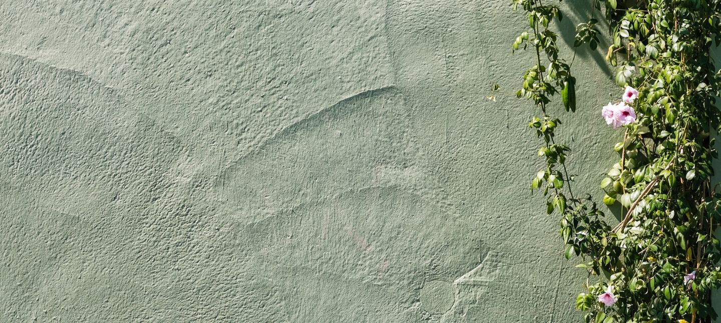 benefits of volunteering