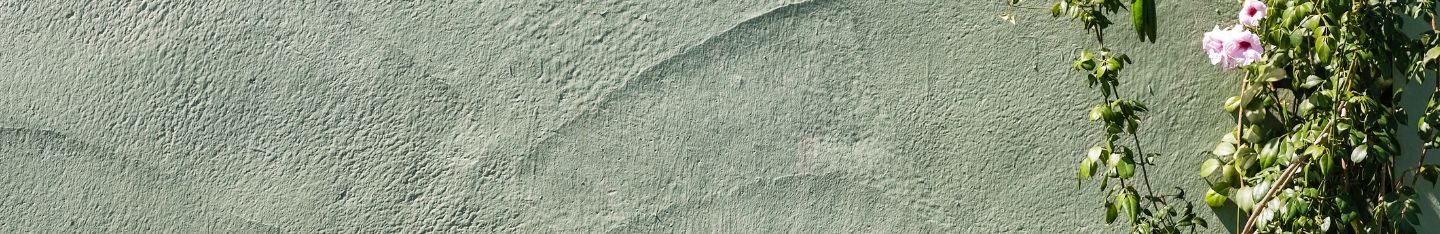 benefits of volunteering