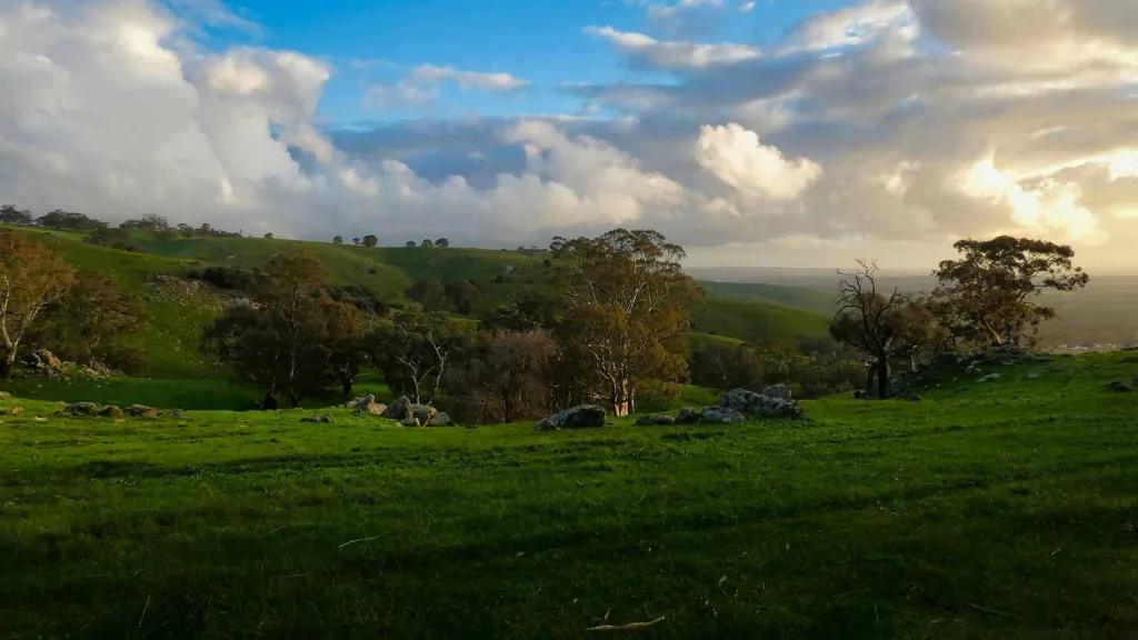 barossa valley